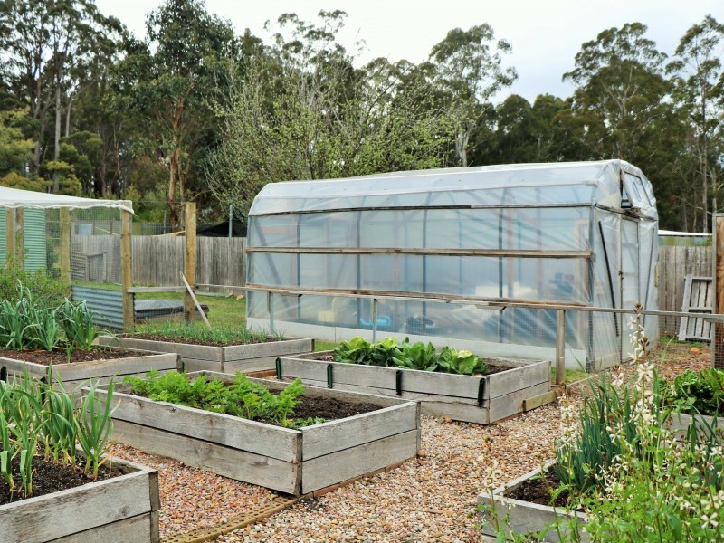 5 Frederick Street, St Marys TAS 7215