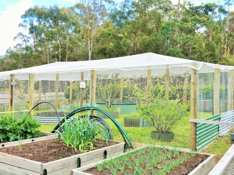 5 Frederick Street, St Marys TAS 7215