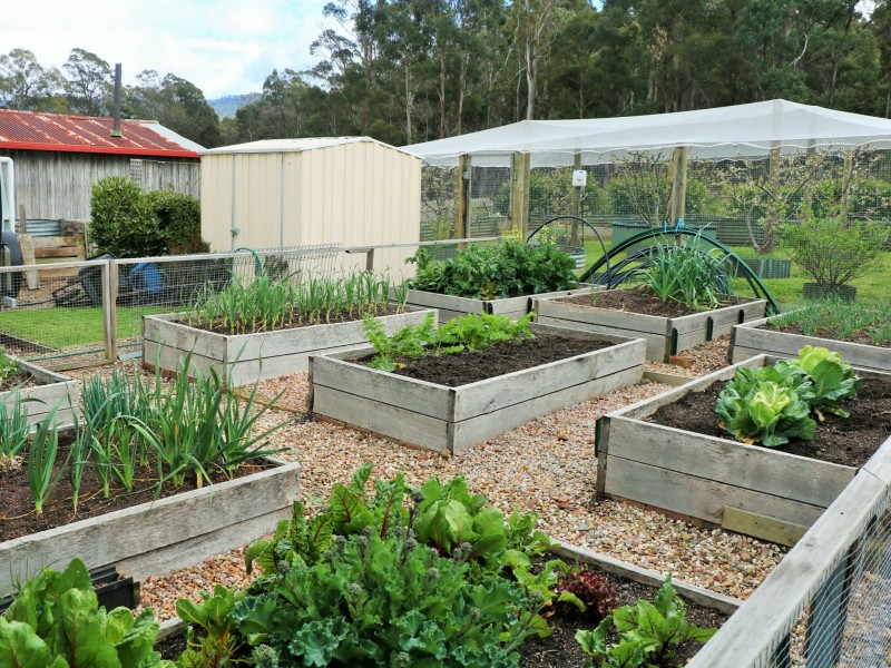 5 Frederick Street, St Marys TAS 7215