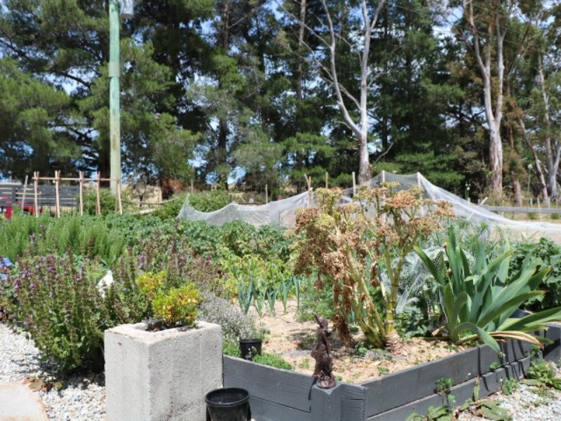 3 Brooks Road, St Helens TAS 7216