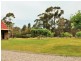 70 Riverview Road, Scamander TAS 7215