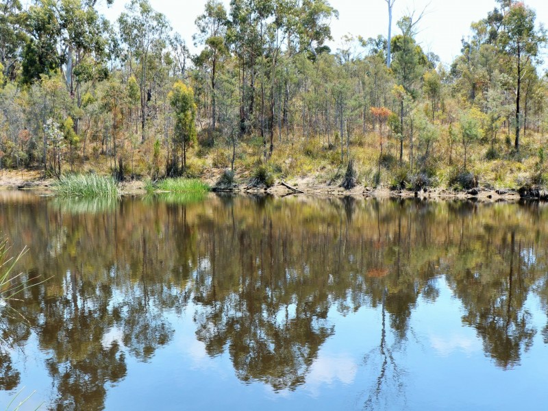 21921 Tasman Highway, Four Mile Creek TAS 7215
