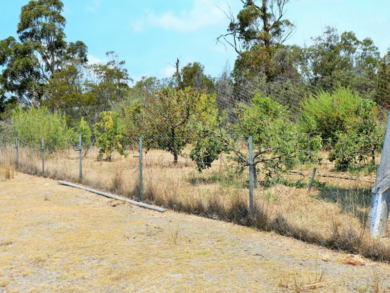 21921 Tasman Highway, Four Mile Creek TAS 7215