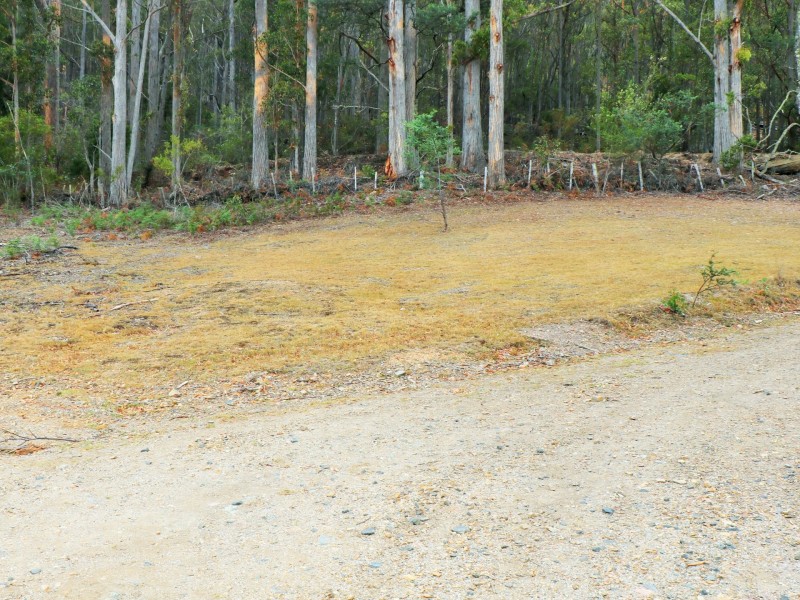 285 Gardiners Creek Road, St Marys TAS 7215