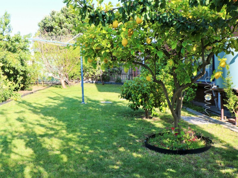 20 Mimosa Street, St Helens TAS 7216