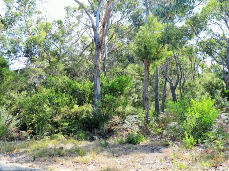 10 Freshwater Street, Beaumaris TAS 7215