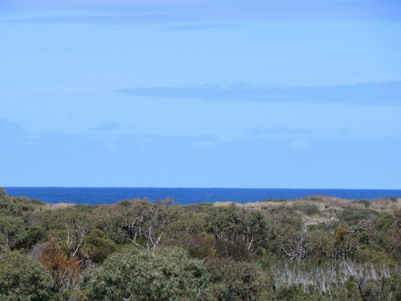 30 Winifred Drive, Scamander TAS 7215