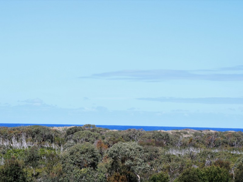 30 Winifred Drive, Scamander TAS 7215
