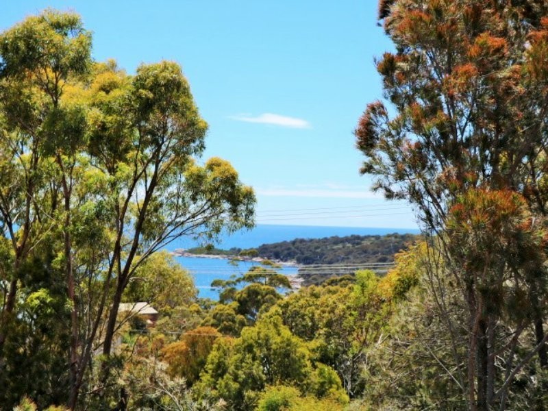 29 Felmingham Street, Binalong Bay TAS 7216