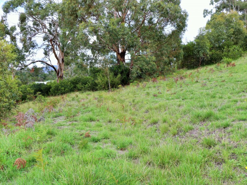 207 Binalong Bay Road, St Helens TAS 7216