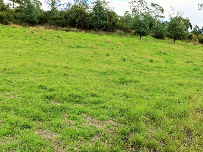 207 Binalong Bay Road, St Helens TAS 7216