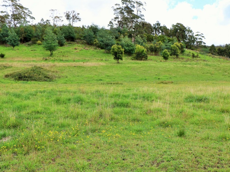 207 Binalong Bay Road, St Helens TAS 7216