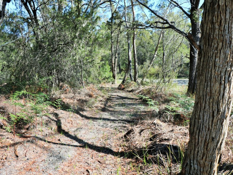 114 Gardens Road, Binalong Bay TAS 7216