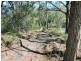 114 Gardens Road, Binalong Bay TAS 7216
