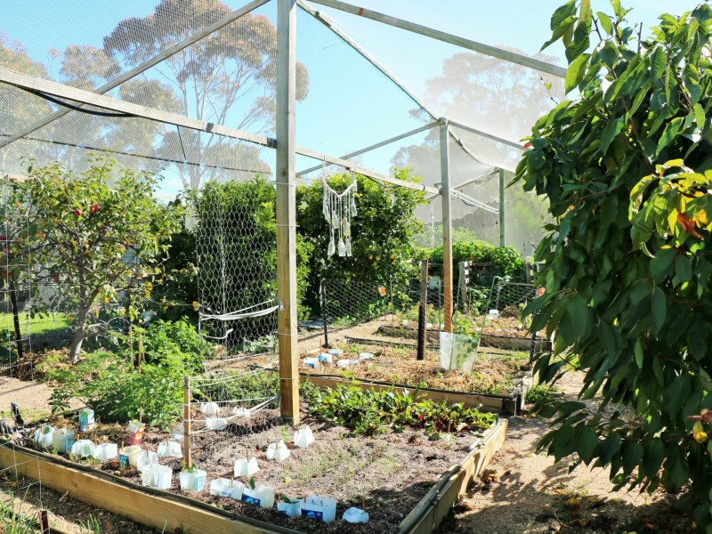 19 Sunbeam Crescent, Beaumaris TAS 7215