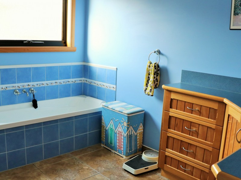 11 Telemon Street, St Helens TAS 7216