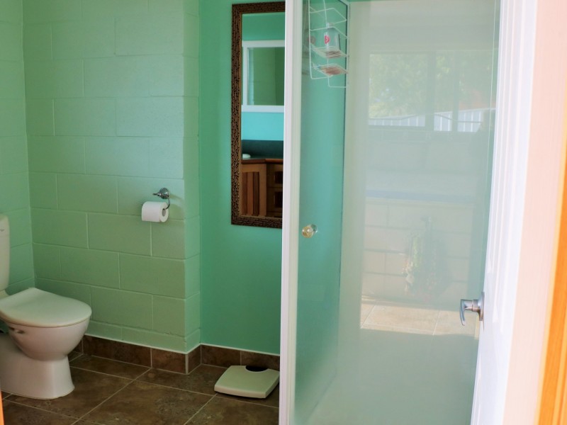 11 Telemon Street, St Helens TAS 7216