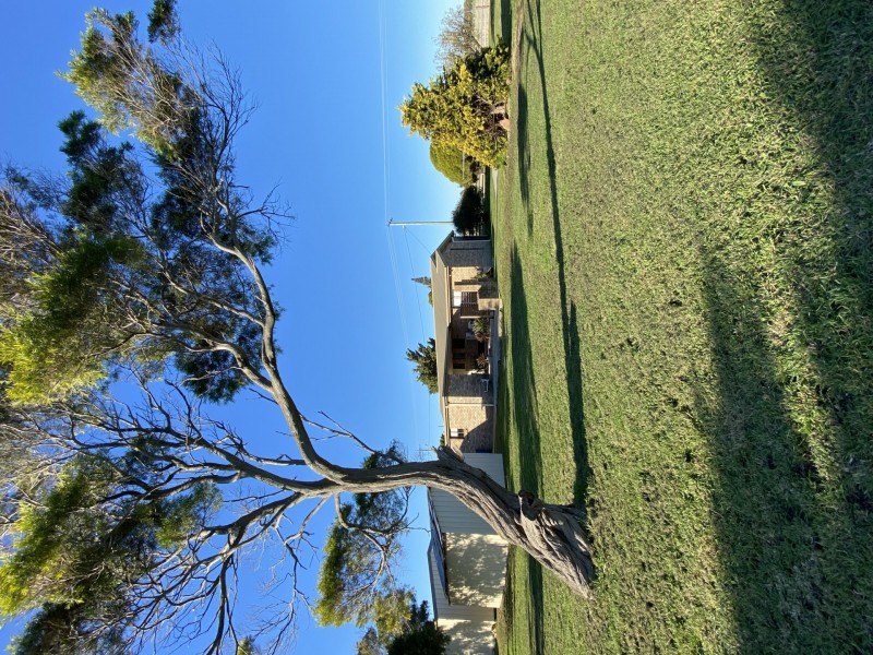 131 Cecilia Street, St Helens TAS 7216