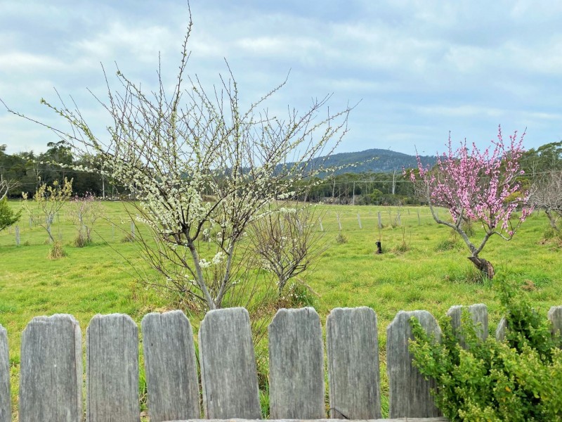26655 Tasman Highway, Goshen TAS 7216
