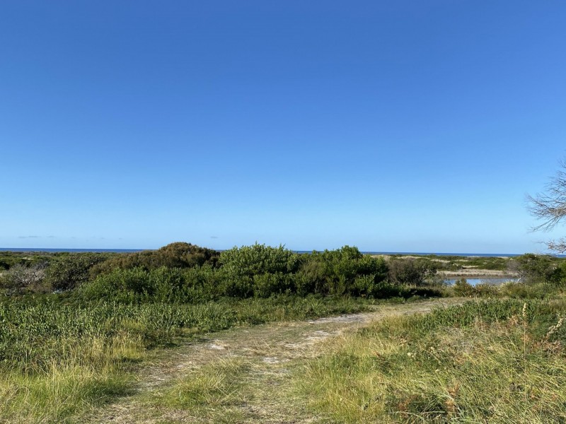 95 Scamander Avenue, Scamander TAS 7215