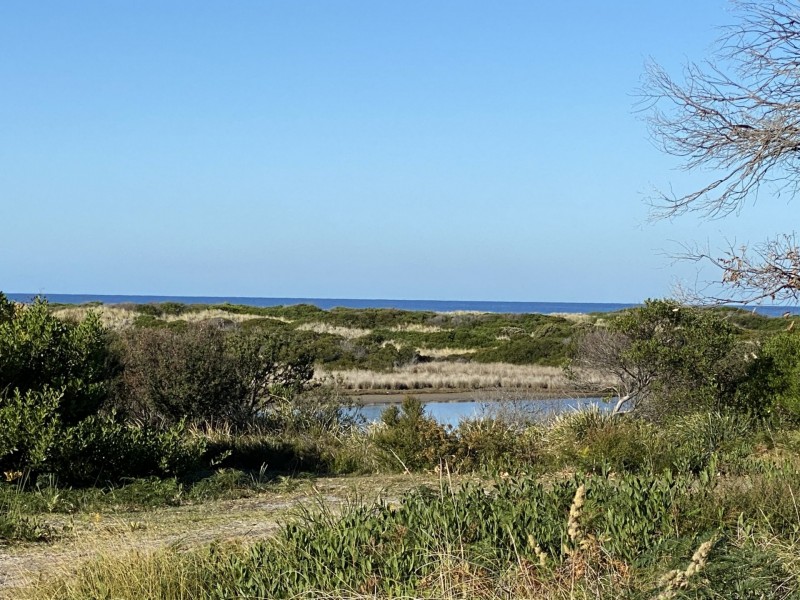 95 Scamander Avenue, Scamander TAS 7215