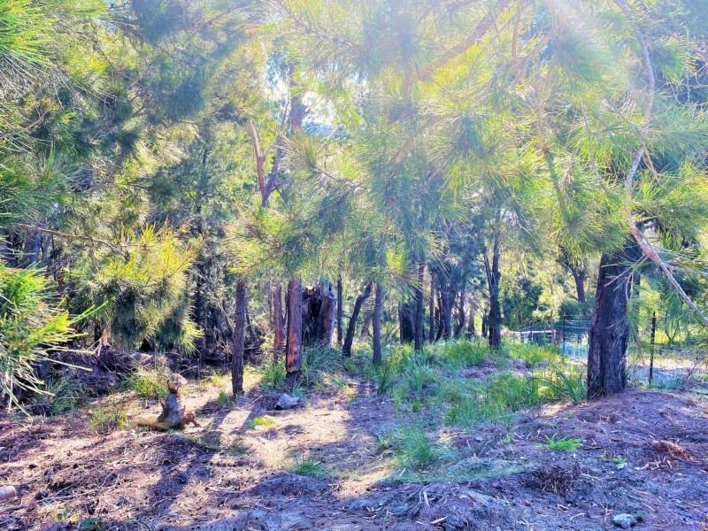 37-39 St Helens Point Road, Stieglitz TAS 7216