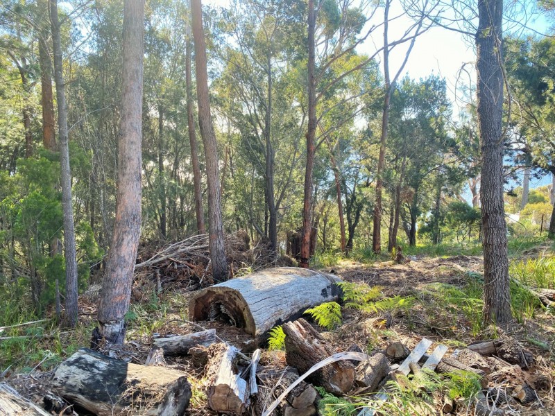 37-39 St Helens Point Road, Stieglitz TAS 7216