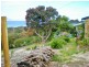 24307 Tasman Highway, St Helens TAS 7216