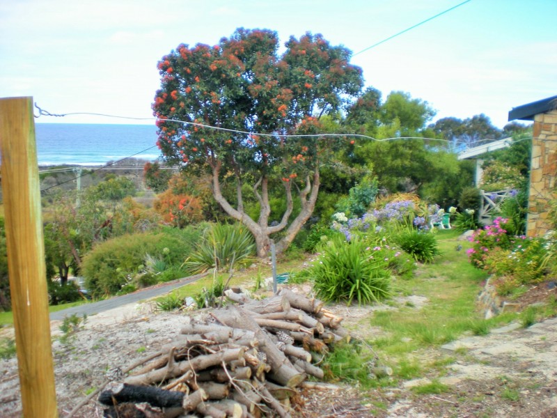 24307 Tasman Highway, St Helens TAS 7216