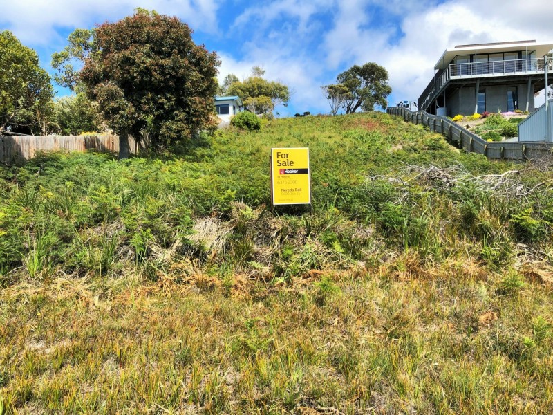 24293 Tasman Highway, St Helens TAS 7216