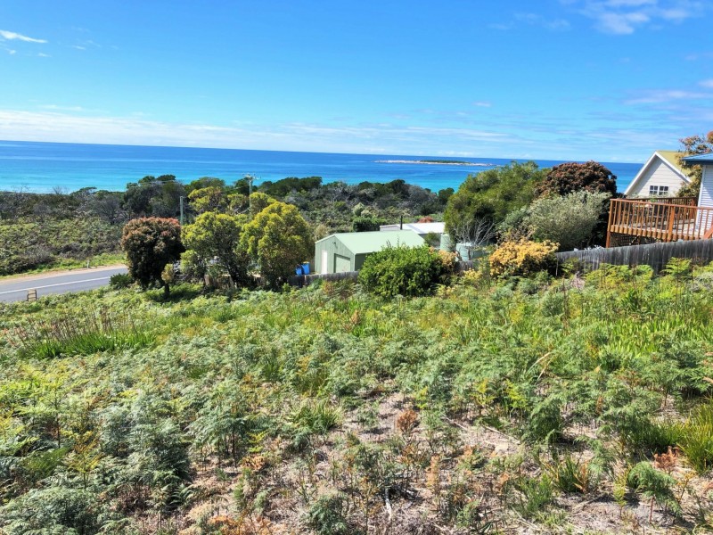 24293 Tasman Highway, St Helens TAS 7216