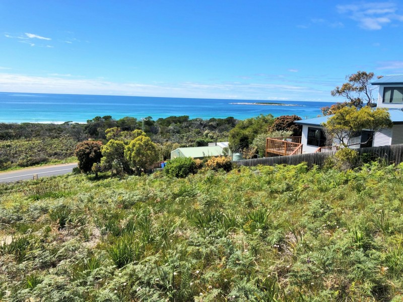 24293 Tasman Highway, St Helens TAS 7216