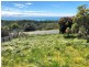 24293 Tasman Highway, St Helens TAS 7216