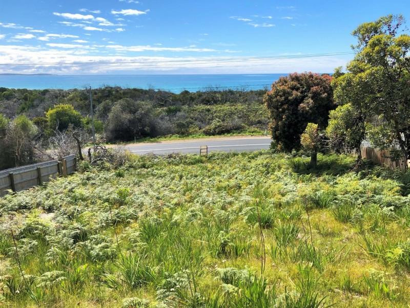 24293 Tasman Highway, St Helens TAS 7216