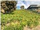 24293 Tasman Highway, St Helens TAS 7216