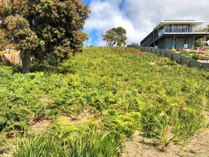 24293 Tasman Highway, St Helens TAS 7216