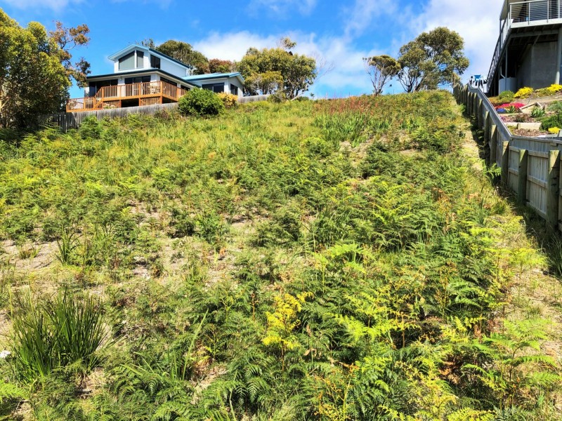 24293 Tasman Highway, St Helens TAS 7216