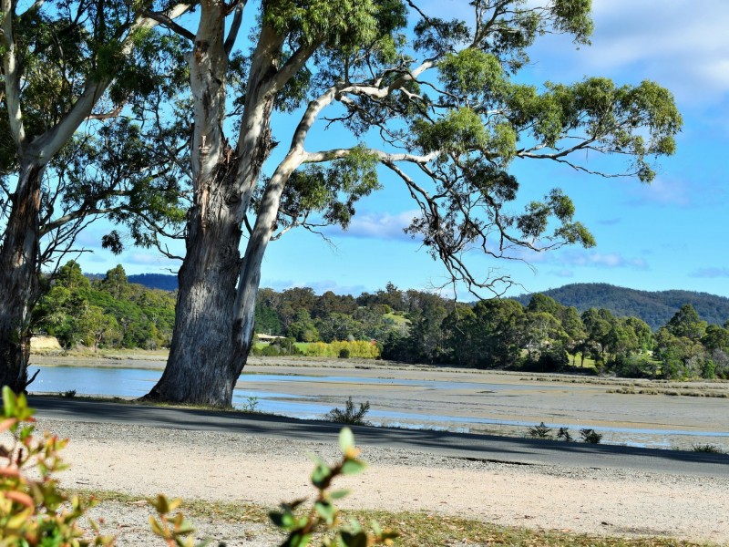 28 Medeas Cove Esplanade, St Helens TAS 7216
