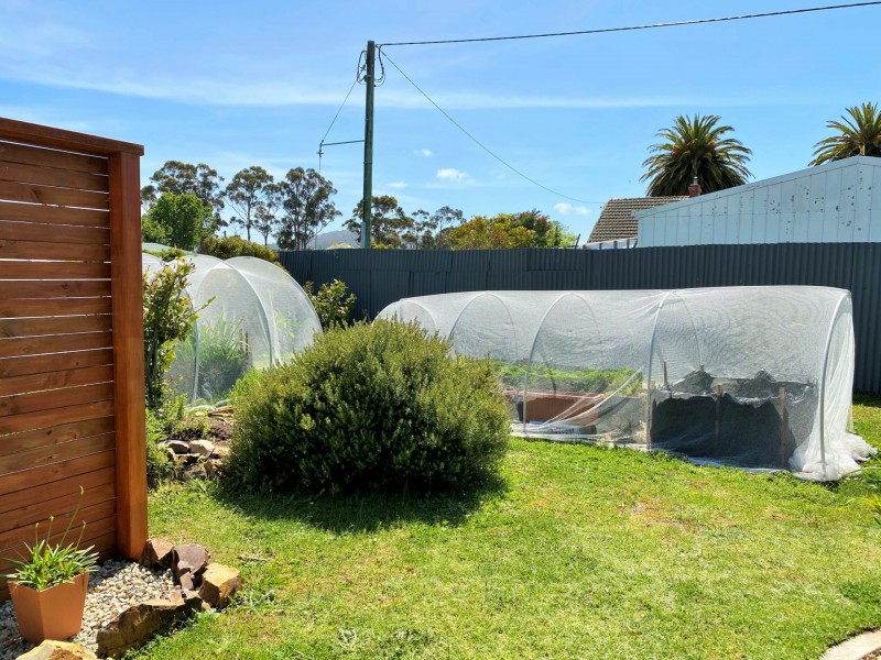 3 Mill Court, St Helens TAS 7216