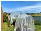 3 Mill Court, St Helens TAS 7216