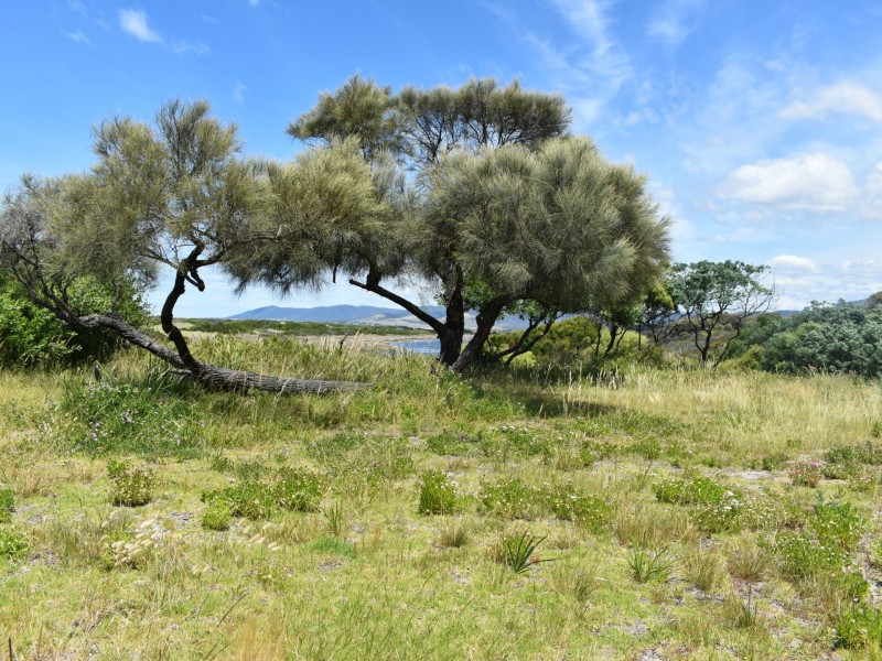 69 Scamander Avenue, Scamander TAS 7215