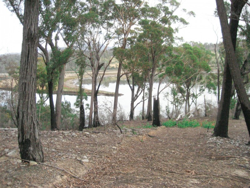 Lot 1 Riverview Road, Scamander TAS 7215