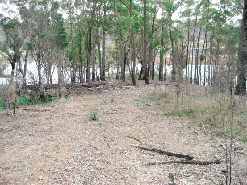 Lot 1 Riverview Road, Scamander TAS 7215
