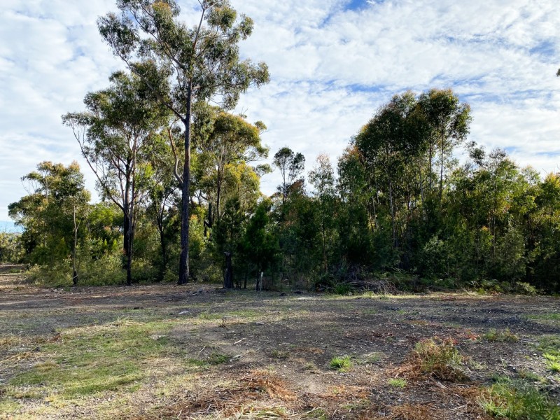 Lot 1 Riverview Road, Scamander TAS 7215