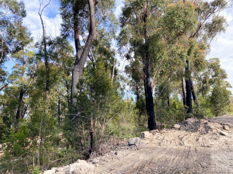 Lot 1 Riverview Road, Scamander TAS 7215