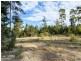Lot 1 Riverview Road, Scamander TAS 7215