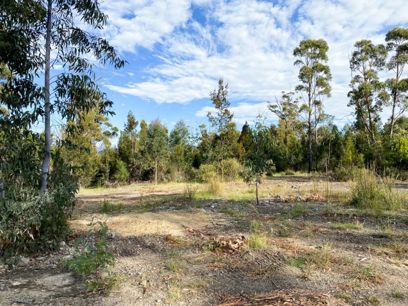 Lot 1 Riverview Road, Scamander TAS 7215