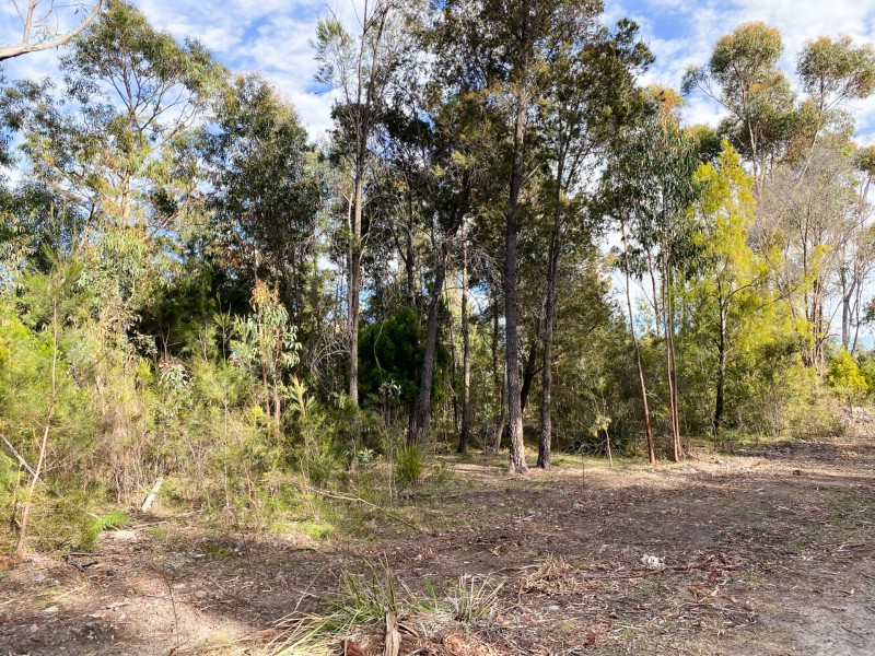 Lot 1 Riverview Road, Scamander TAS 7215