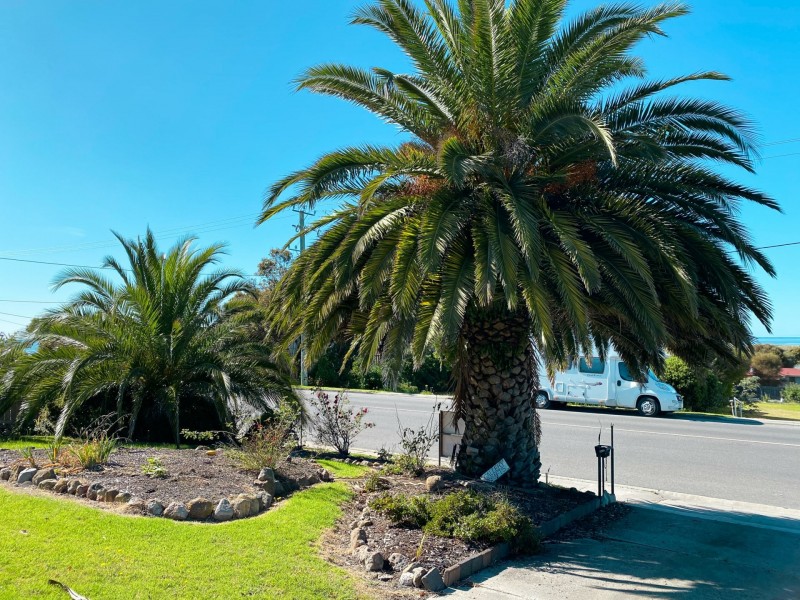 178 Scamander Avenue, Scamander TAS 7215