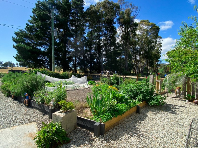 3 Brooks Road, St Helens TAS 7216